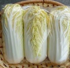 Chinese Cabbage 'Tender Gold' Seeds