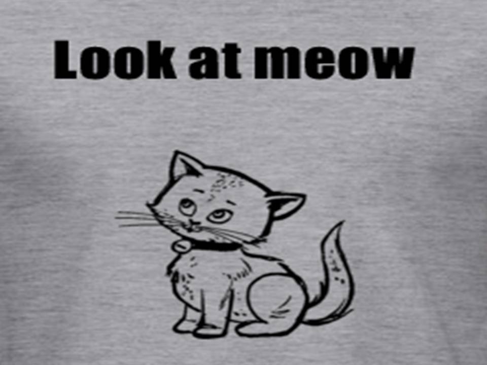 Look at meow