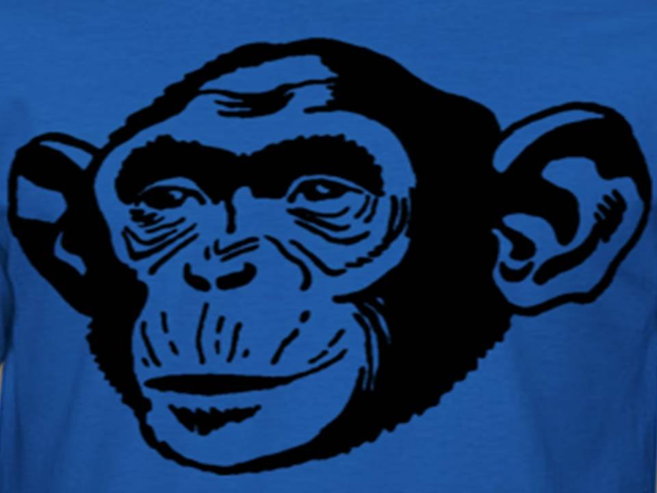 Chimp