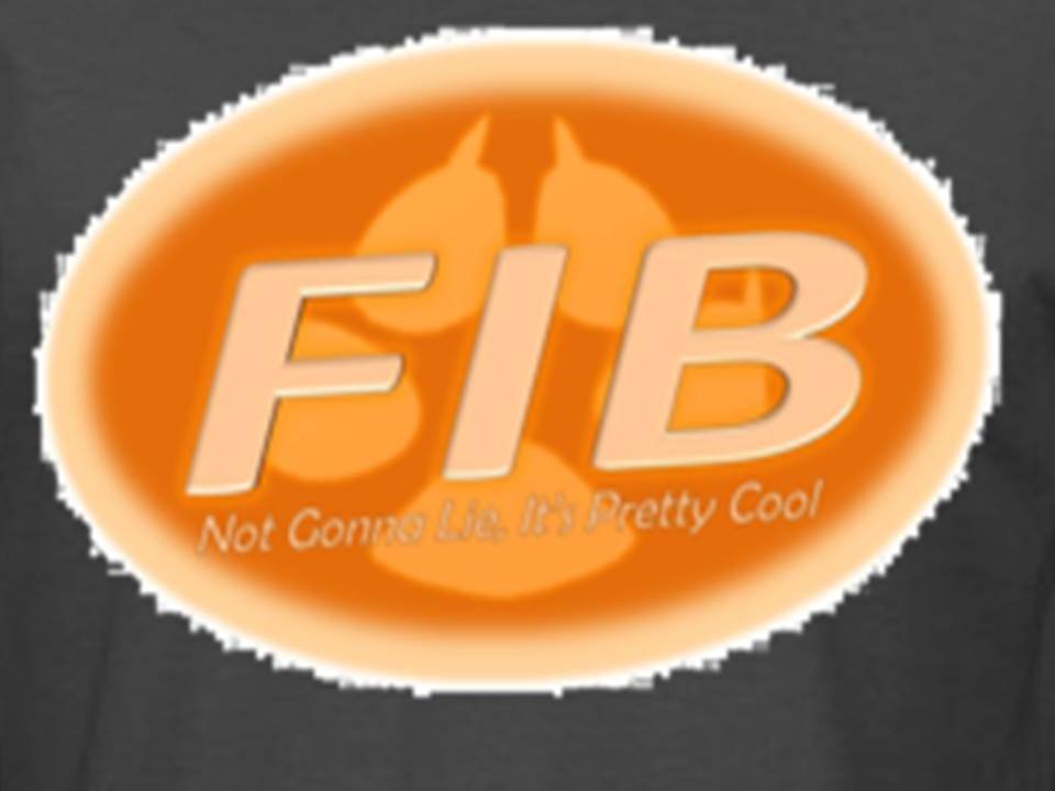 FIB shirt
