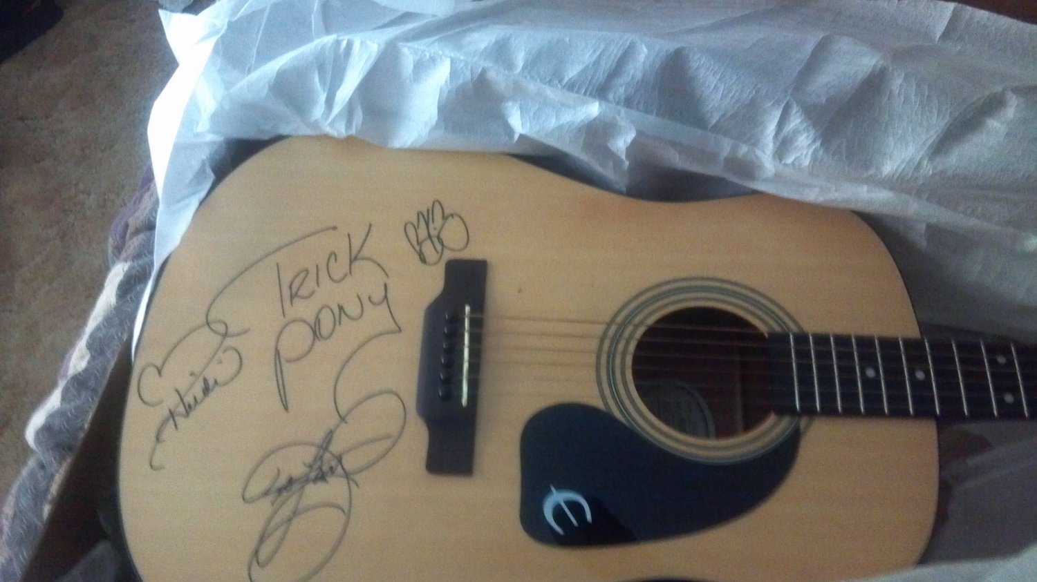 Trick pony guitar