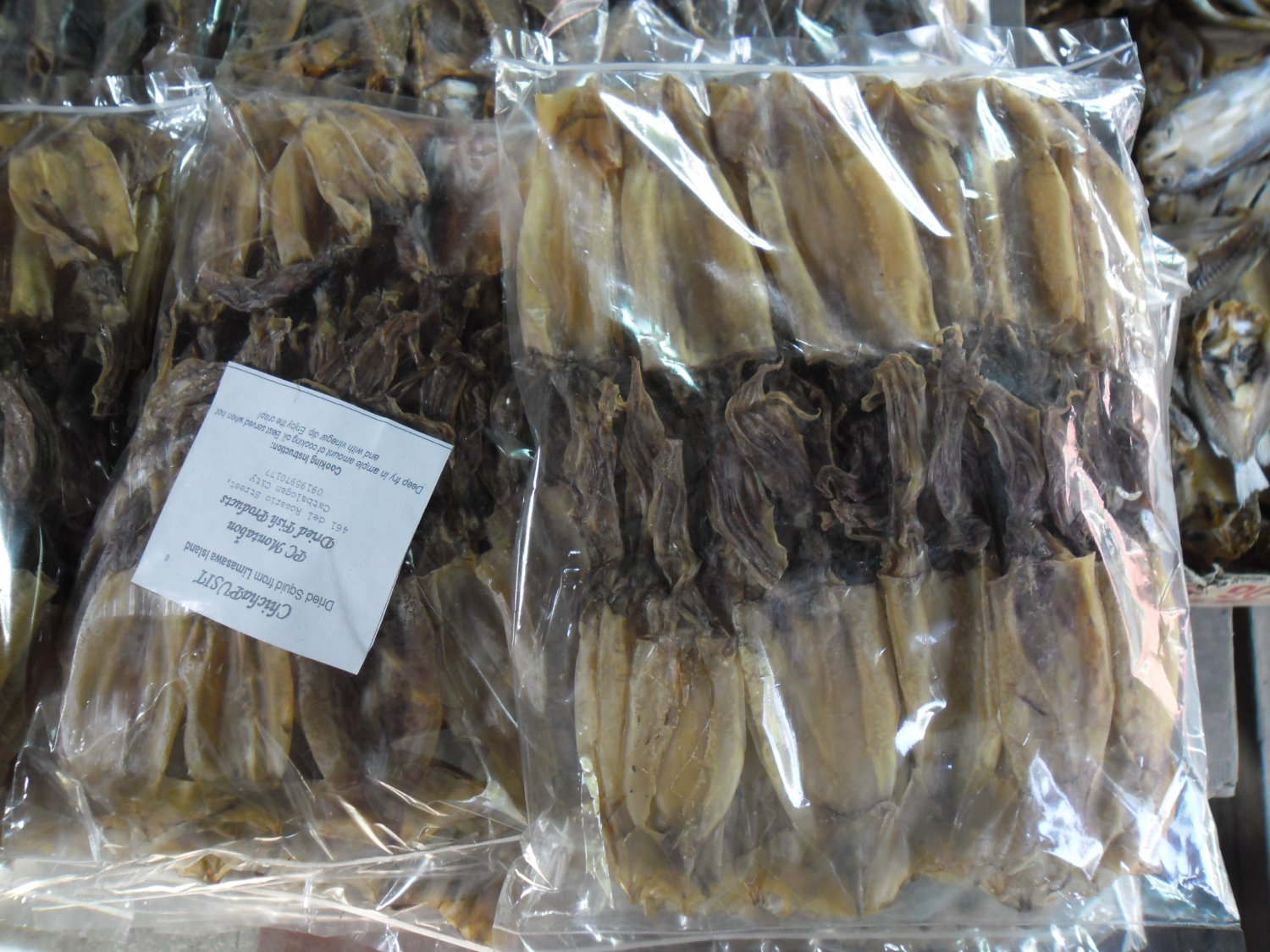 Pusit