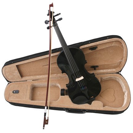 Black Acoustic Violin Full Size 4/4 + Bow + Case + Rosin