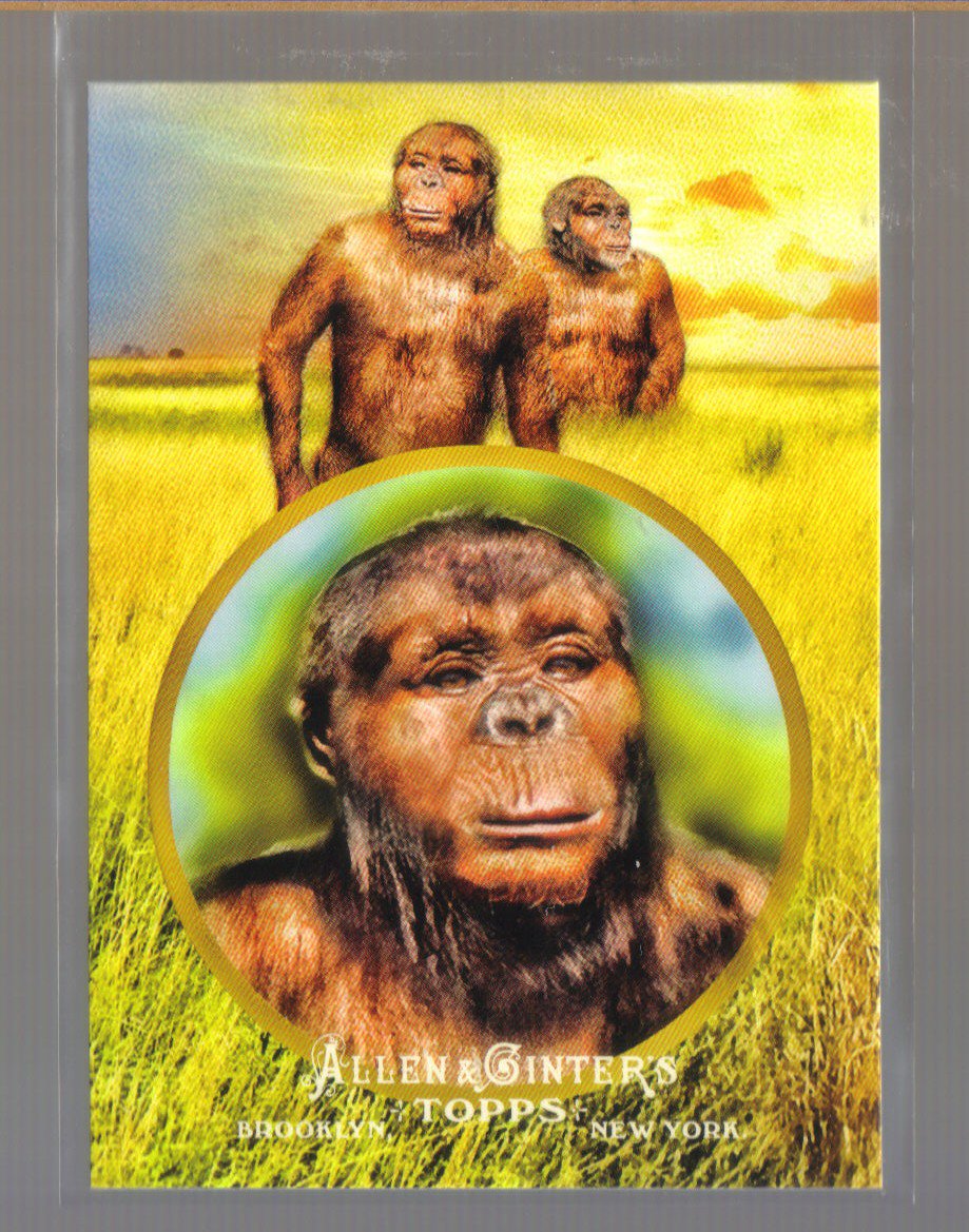 2011 Topps Allen & Ginter Ascent of Man #21 AUSTRALOPITHECUS
