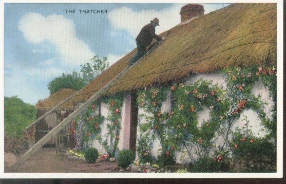The Thatcher - Irish Country Life Series Postcard