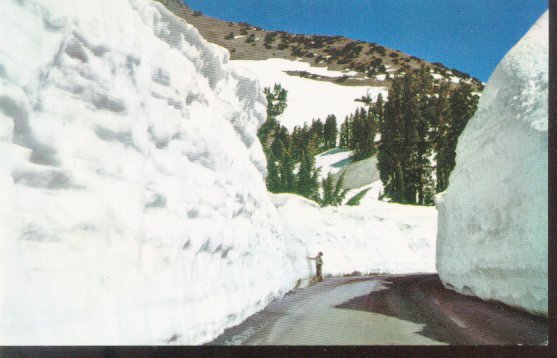 In Lassen Volcanic National Park California Post Card