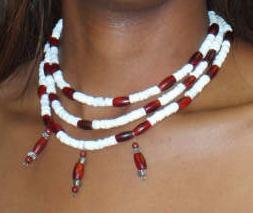 Shell and Horn Bead Necklace