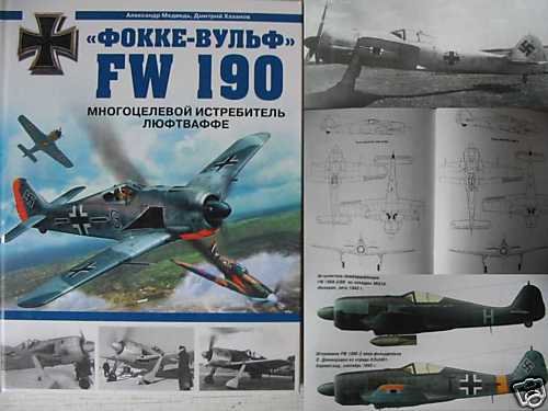 German WW2 Fighter Aircraft FW 190