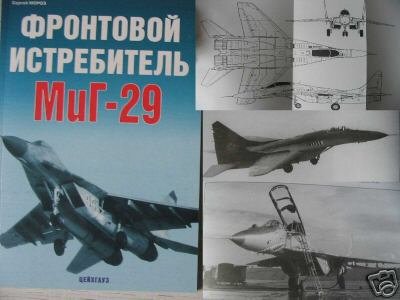 Russian Combat Jet Fighter MiG-29 (Aircraft)