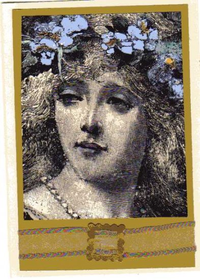 Exotic Notecards 4