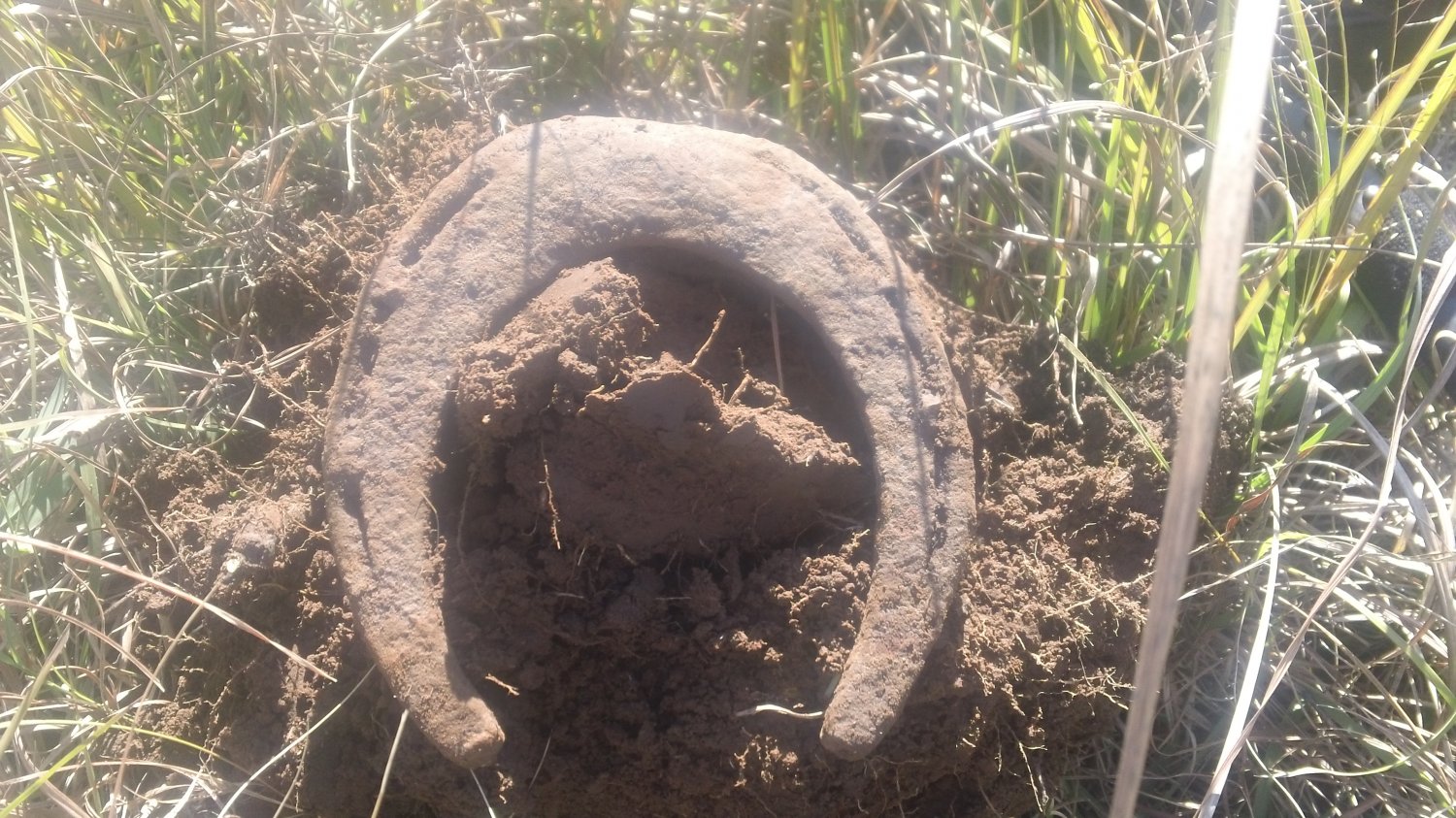 Lucky Horseshoe