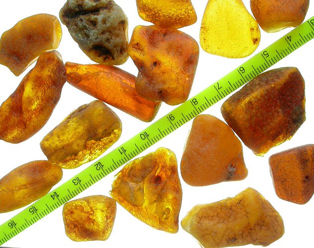 Unsearched rough Baltic fossil amber 20 - 30mm (30 gr.)