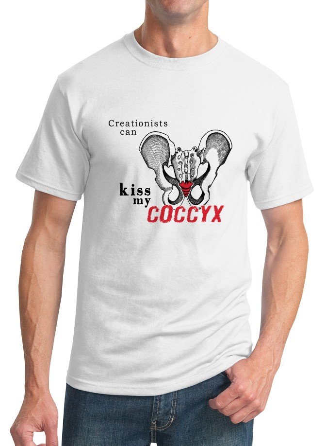 Evolution T-Shirt - Size L - Unisex White - Coccyx