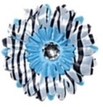 Blue Zebra daisy hairclip