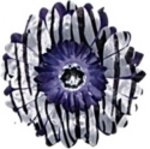 Purple Zebra daisy hairclip