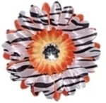 Orange Zebra daisy hairclip