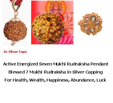 Active 7 Mukhi Rudraksha Silver Pendant For Health,Wealth & Happiness.