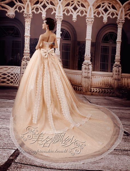 custom made WEDDING Dress bridal dress lace beaded +TRAIN champagne