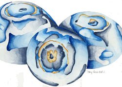Blueberries Watercolor