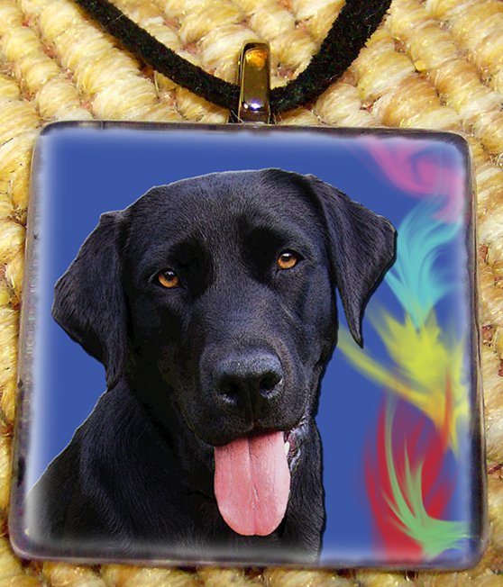Black Lab
