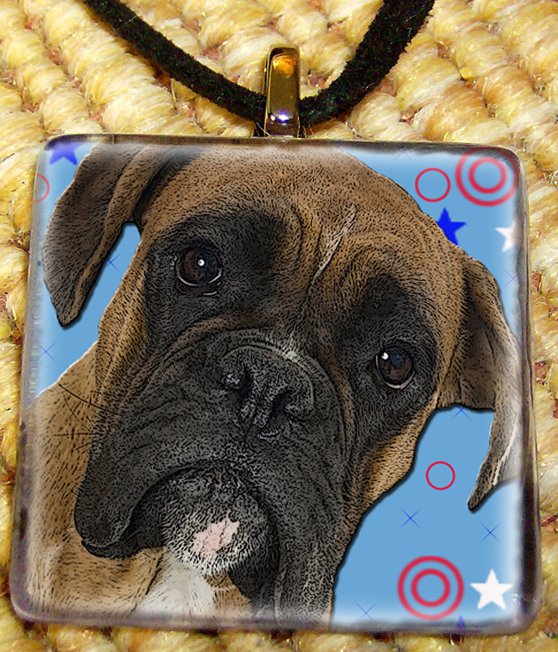 Boxer Blue