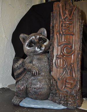 Welcome Raccoon