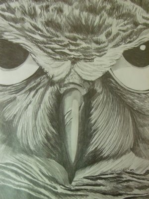 What? Colored Pencils 10"X7 1/2"