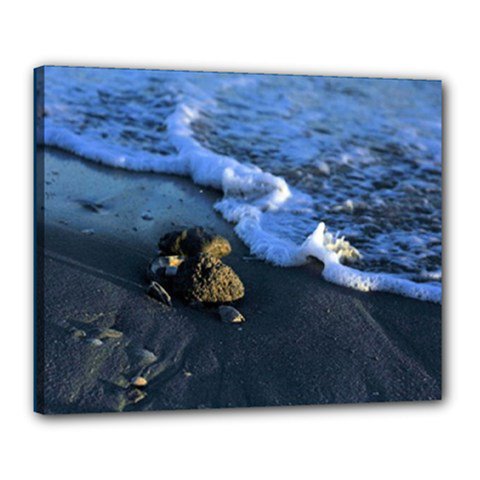 16x20 Gallery Wrap Sea Shore