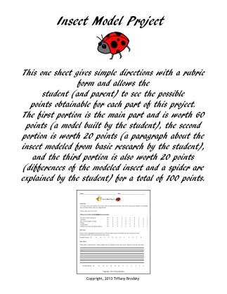 Science INSECT MODEL PROJECT: Building Model, Research & Writing, & Contrast with Rubric (PDF)