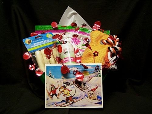 Dog Pet Gift CHRISTMAS BASKET -Toy Chews Treats Ear Cleaner Fine Art Print Card