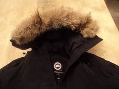 Canada Goose Chilliwack Parka