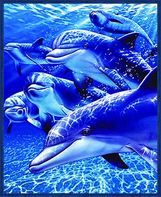 Dolphins, mink style soft and warm queen blanket, Q964E