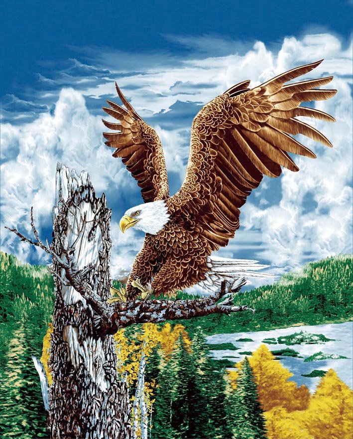 Eagle on tree branch, mink style soft and warm queen size blanket, Q933E