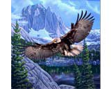 Flying Eagle With Mountain Scene, mink style soft and warm queen size blanket, Q930E