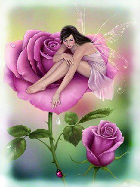 Fairy On Pink Roses, Mink Style Queen Size Soft & Warm Blanket_Q947E
