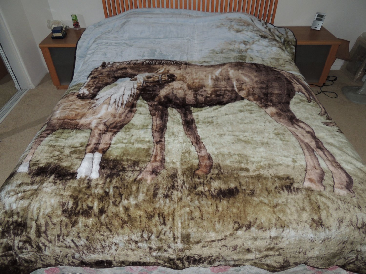 Mare & Foal, Mink Style Queen Size Soft & Warm Blanket_Q981E