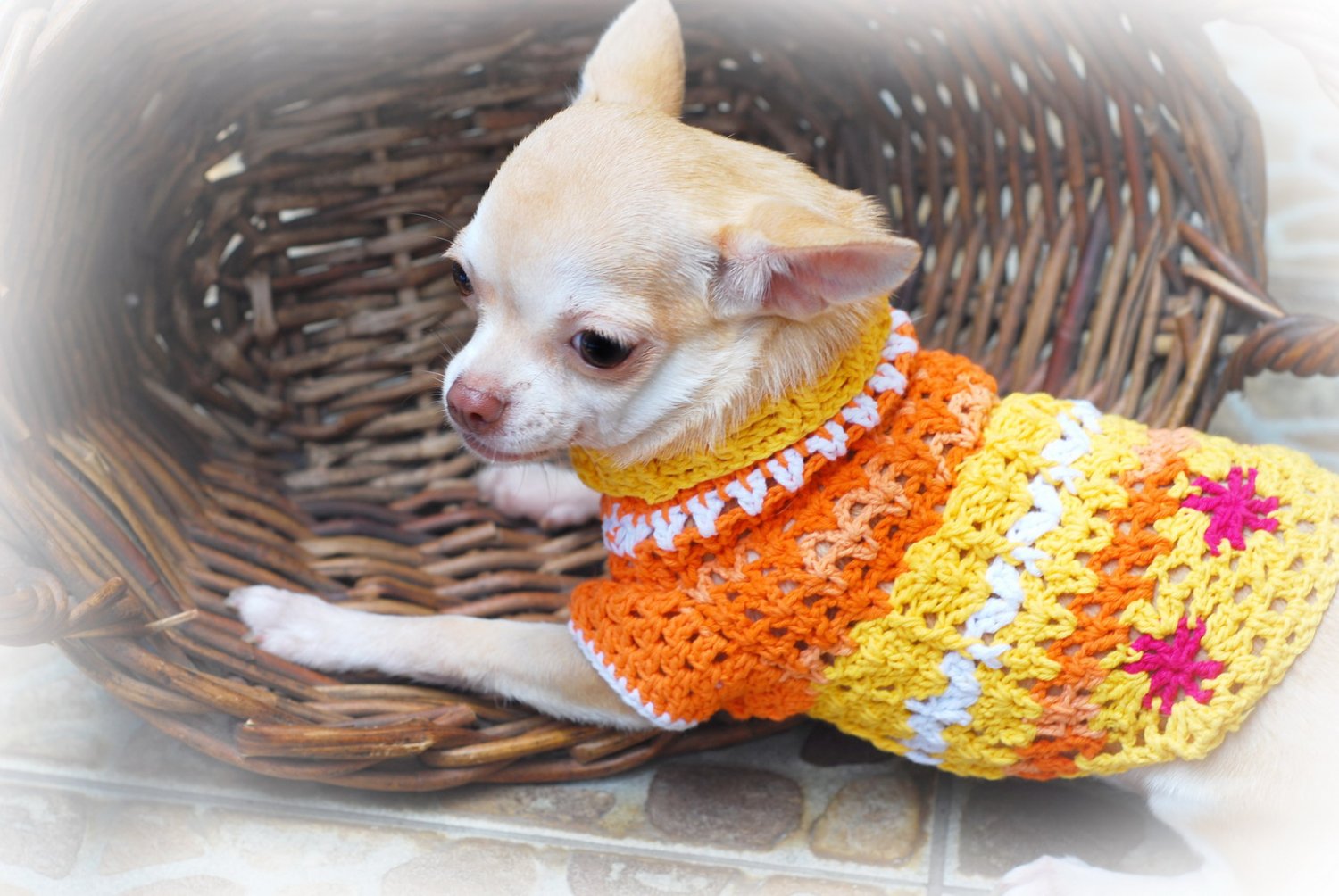 Handmade Hand Crochet Dog Clothes Puppy Sweater Myknitt D811 XXS