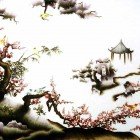 Spring is coming II