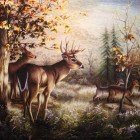 Lost in the autumn forest