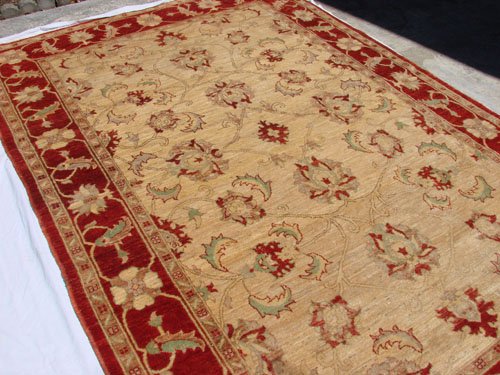 High Quality Hand Made Vegetable Dyed Peshawar Oriental Chobi Rug Carpet 9x6 i70712