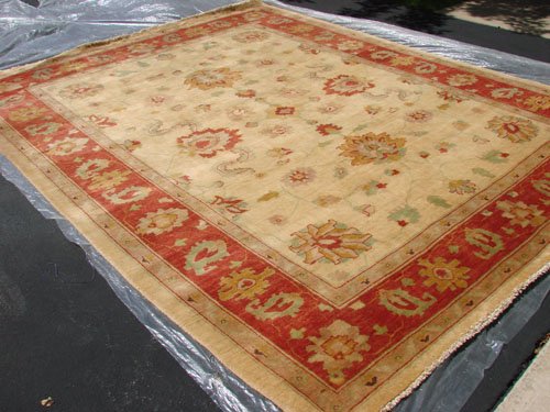 Hand Made Vegetable Dyed Peshawar Oriental Chobi Rug 11x8 i70730