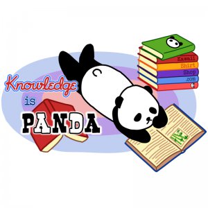 Junior Fit Ladies' T-Shirt - Size XL - White - Kawaii Knowledge is Panda
