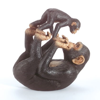 Playful Monkeys