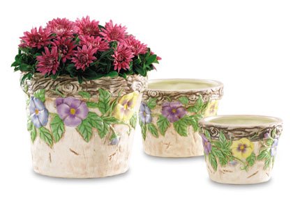 Morning Glory Flower Pot Trio