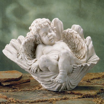 Seashell Slumber