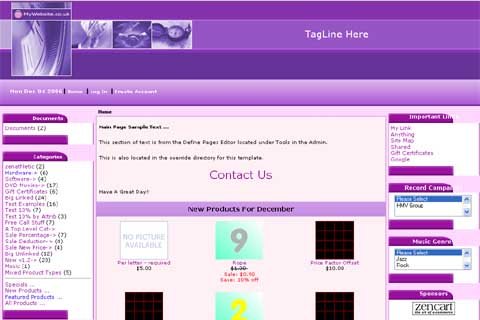 Website installation