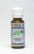 BrightSpark (125 tablets) for ADD and ADHD