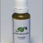 Deodorite for Underlying Causes of Body Odor