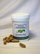 Insulate Plus (60 caps) - Natural Remedy for Healthy Living and Diabetes