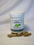 StudyPlus (60 caps) - Natural herbal formula to Boost Brain Power and Improve Memory